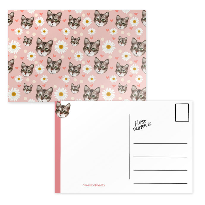 Pink Cat Postcard Set